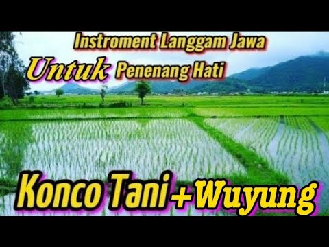 Instroment Langgam campursari Konco Tani + Wuyung sangat cocok buat cek sound.