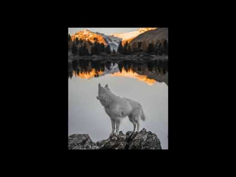 DeMajor ft  Lizwi   Traveller Pastor Snow's