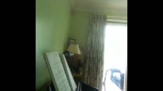 Lady Moonlight - All about eve - piano/ vocal cover