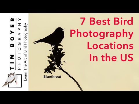 7 Best Bird Photography Locations In The US