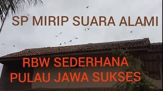 Download lagu Suara PANGGIL Walet mirip ASLI RESPON | RBW JAWA mp3 Download lagu Suara PANGGIL Walet mirip ASLI RESPON | RBW JAWA mp3