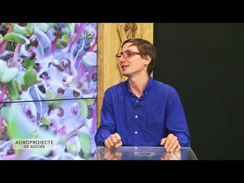 Agroproiecte de succes: Sisteme de crescut plante de tip aeroponie, cu Ștefan Arsene | 14.03.2021