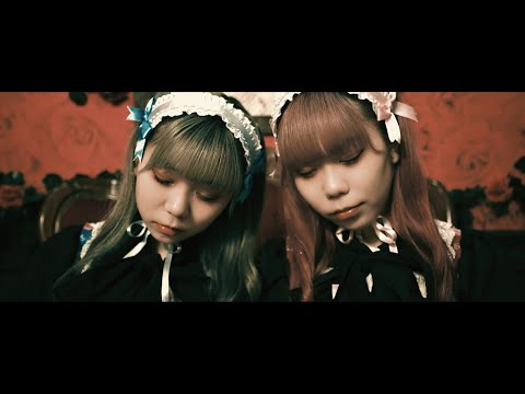 Dimrays profile | Dimraysプロフィール | vkgy (ブイケージ)
