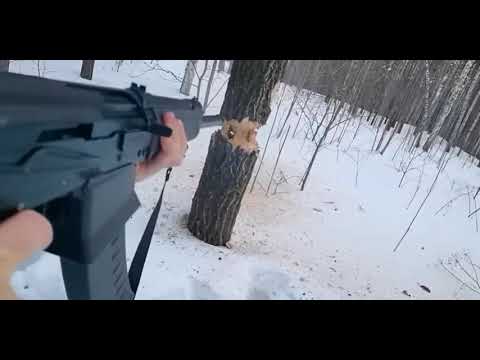 Cutting down a tree with an AK Saiga 12 shotgun - Easy?