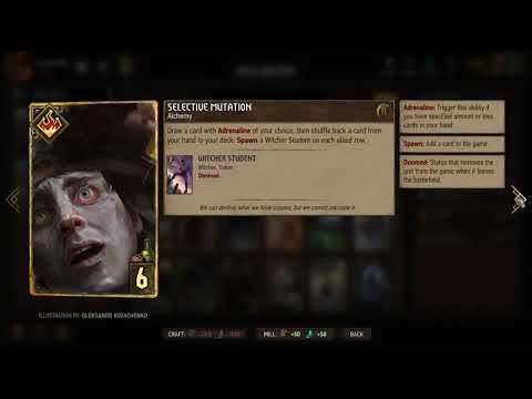 [Gwent] All Way of the Witcher Premium Cards