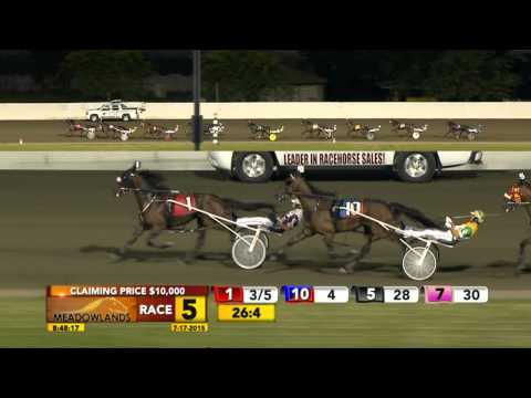 Meadowlands July 17, 2015 - Race 5 - Whittaker