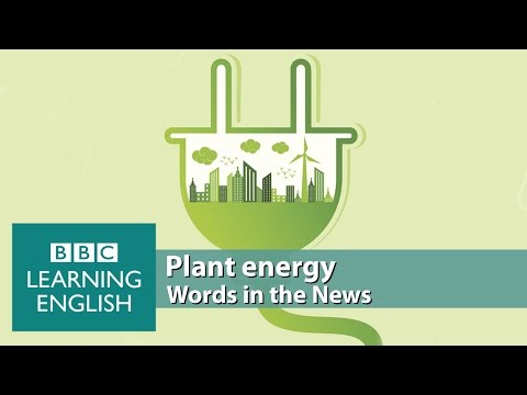 Plant Energy. Learn: power (verb), investigating, sustainable energy, electrons, solar panel