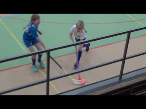 Nibacos Sininen - Blue Fox Sininen Vaasan Kauppaoppilaitos