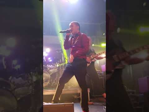 David Yang 2018 - Ib xyoo dhau ib xyoo