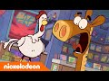 Hier is Pony! | Stoute Kip | Nickelodeon Nederlands