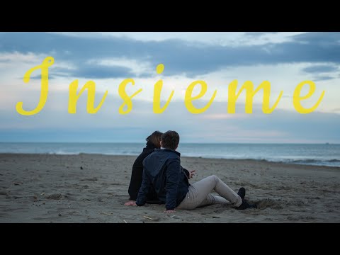 Insieme preview