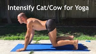 Cat Cow Part 2: How to Intensify Cat/Cow and Use it to Transition to Downward Dog with Antranik