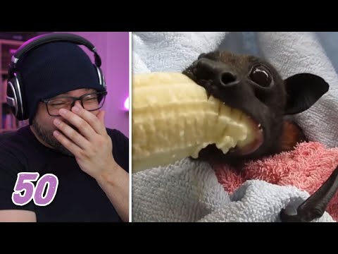 Mikey Reacts To Daily Dose Of Internet EP 50