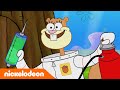 SpongeBob | Kan SpongeBob Sandy's boom redden? ? | Nickelodeon Nederlands