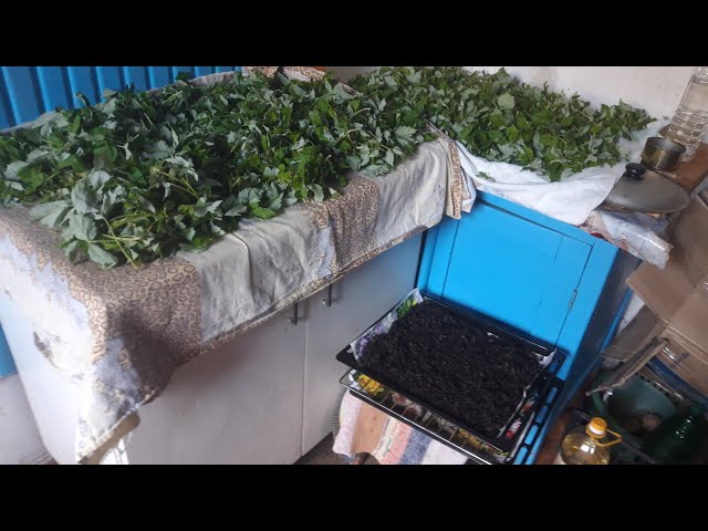 Youtube Video Youtube Video