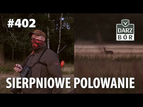 Darz Bór odc. 402 Sierpniowe Polowanie...
