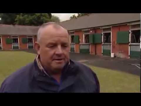 Greys Inn - "The South African Lion"