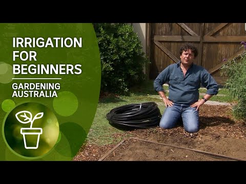 Irrigation Made Easy: Here's how you install irrigation