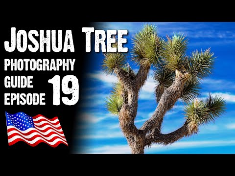 JOSHUA TREE NATIONAL PARK - Landscape Photography USA, California