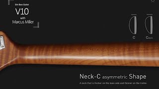 Download lagu Sire V10 Fortune Teller mp3