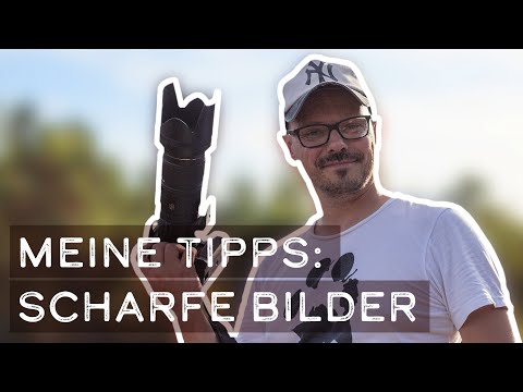 Meine Tipps & Tricks für scharfe Bilder (Hunde Fotografie)