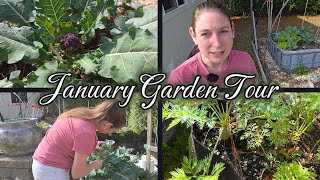 January Garden Tour | What’s Still Growing in My Zone 9A Garden