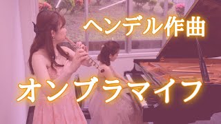 Download lagu 【フルート】&【ピアノ】ヘンデル《オンブラマイフ》 【演奏してみた】 mp3