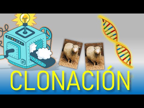Cloning Dolly the Sheep (Explanation 2022)