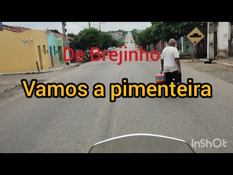 De Brejinho até pimenteira ambos Pernambuco