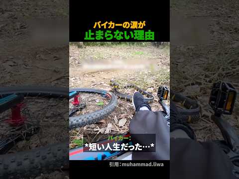 バイカーの涙が止まらない理由