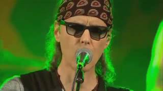 Still the Night Live