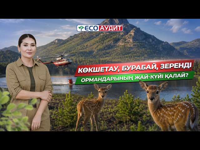 Көкшетау, Бурабай, Зеренді ормандарының жағдайы қандай?