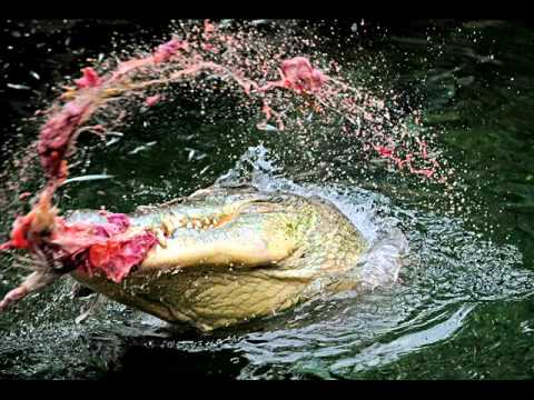 Serial Kickers SAKE ZAKA X LINDIS X SWIFT GUAD X DEEN BURBIGO Freestyle Al'Tarba