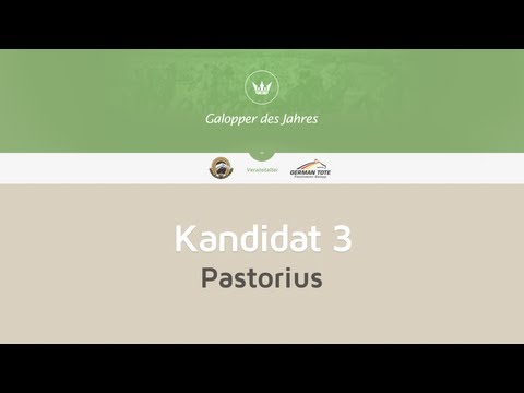 PASTORIUS: Kandidat zur Galopper des Jahres Wahl 2012