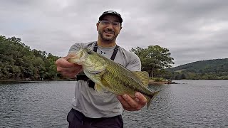 SUMMER BASS FISHING with a Bluegill Popper & Drop Shot