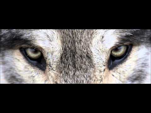 Joja ( Familija Zapad ) - U 4 Zida [ NBG RAP 2013 ]