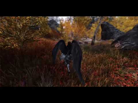 Skyrim SE 2020 THE FALLEN ANGEL IN COMBAT (RUDY ENB + NAT)