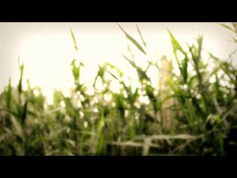 Video thumbnail for от шёпота в шарф (from a whisper to a scarf)