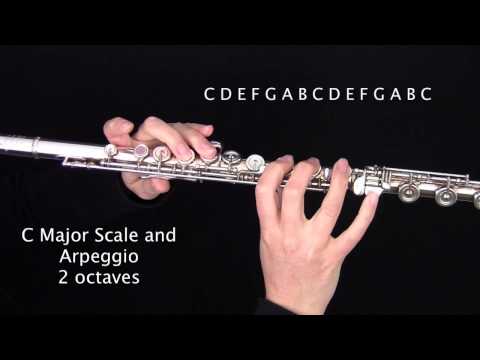 download lagu mp3 mp4 Flute Websites, download mp3 Flute Websites free downloadn, video klip Flute Websites