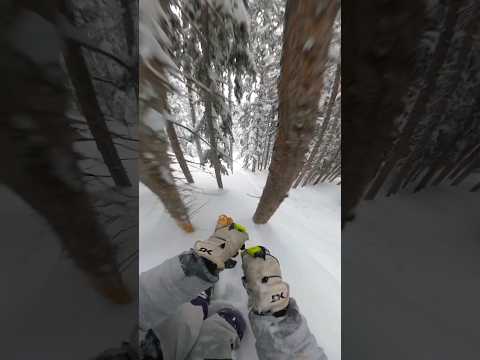 🌲 my ALL TIME best TREE RUN! #skiing #ski