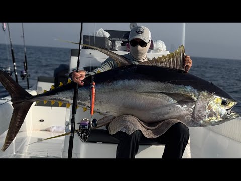 88KG Omani yellowfin tuna  , what a beast !!