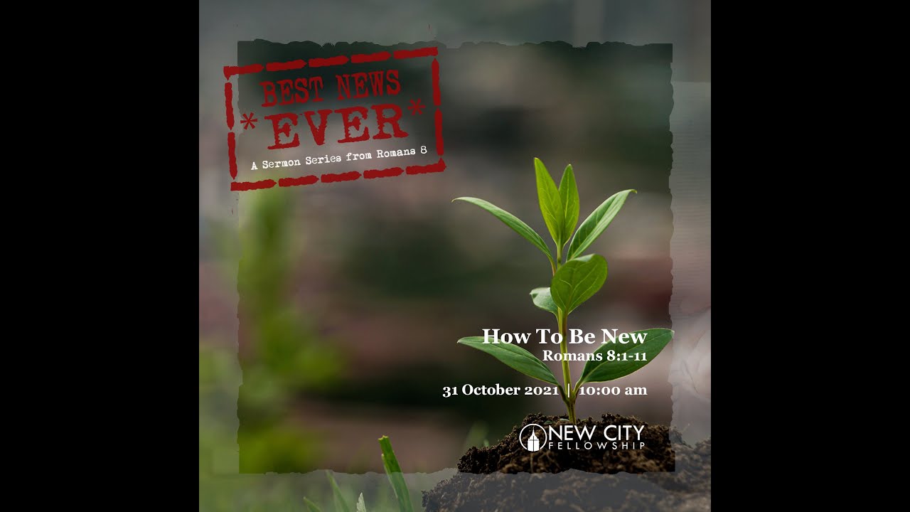 Best News Ever: How To Be New