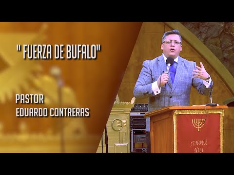 Sermon: "Buffalo Strength"