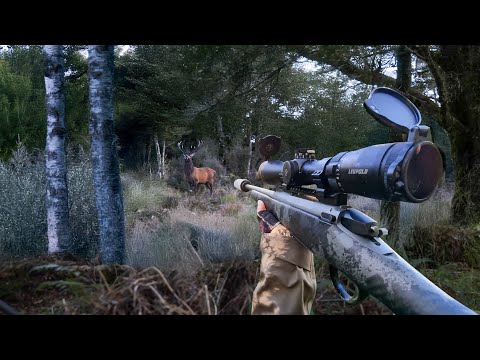 It Came Out Just Before Dark | Solo 8 Day Hunt 2025