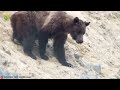 Clip 1