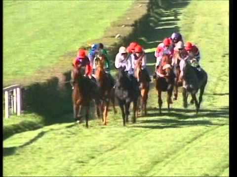 Galopprennbahn Dresden - 15.10.2011 - 2.Rennen