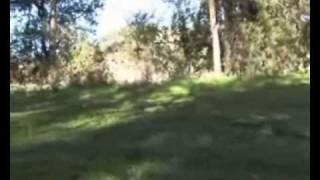 اخراج الاخ الحوت