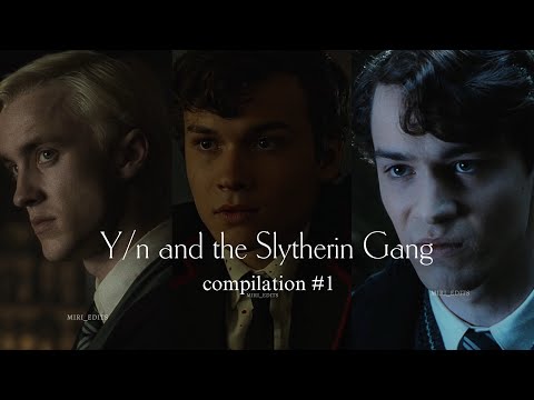 Y/n and the Slytherin Gang compilation #1 || POVs || edits