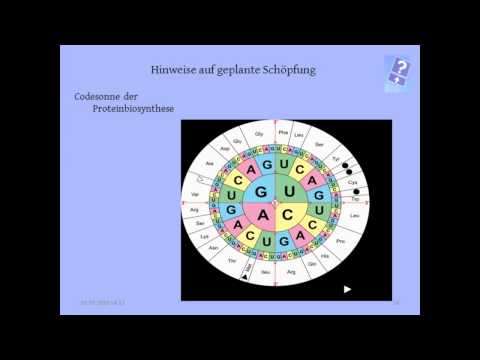 Neil bin Radhan   Zufall kontra Schöpfung