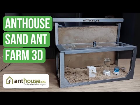 Setting Up And Reviewing the Anthouse Sand Ant Farm 3D | BRUMA Ants